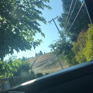 Meet your Posher, Dylan